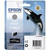 Epson T7607 GY