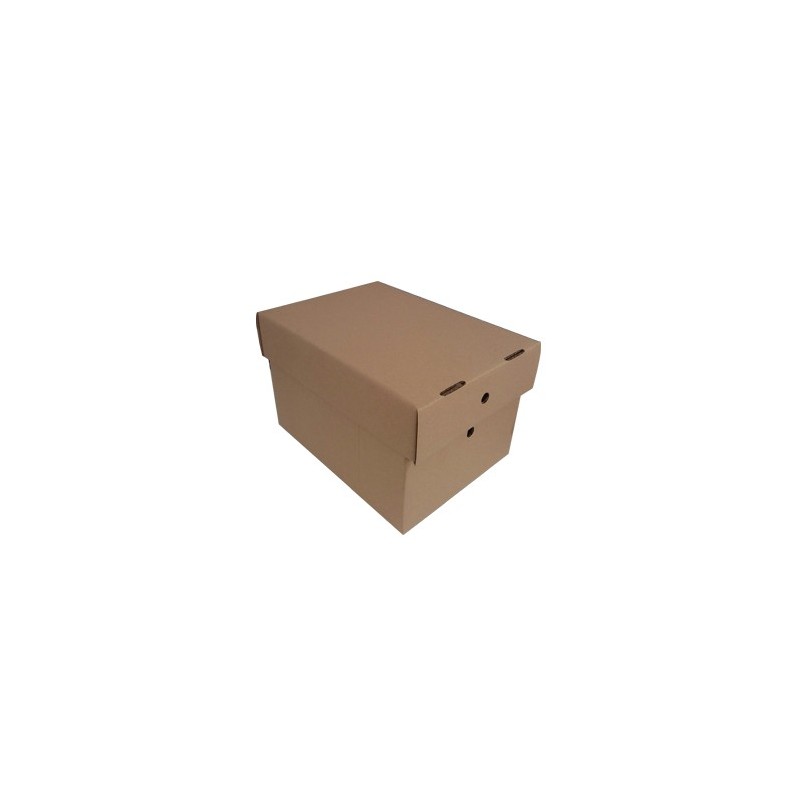 Caixa Cartao Simples 306x226x197mm c/Tampa