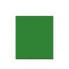 Cartolina 250gr 1 folha 50x65cm Verde