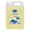 Detergente Multiusos 5L