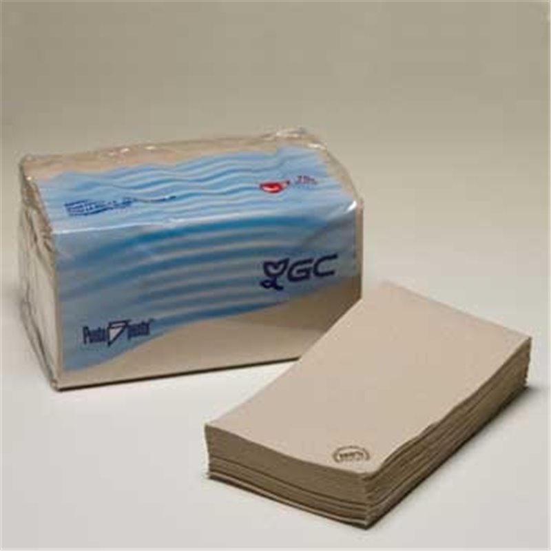 Guardanapos 30x40 1/6 2fls Nature P&P 100% Recycled 150un