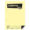 Caderno Diário Pautado B5 40 Folhas 60gr