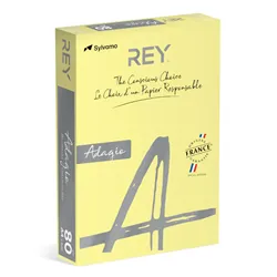 Papel Fotocopia Adagio(cd03) A4 80gr Amarelo 1x500Fls