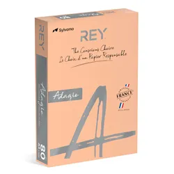 Papel Fotocopia Adagio(cd08) A4 80gr Salmao 1x500Fls