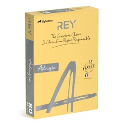 Papel Fotocopia Adagio(cd02) A4 80gr (Ouro) 1x500Fls