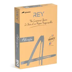 Papel Fotocopia Adagio A4 80gr (Laranja Flurescente) 1x500Fls