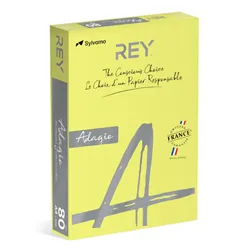 Papel Fotocopia Adagio(cd15) A4 80gr (Amarelo Fluorescent) 1x500Fls