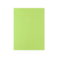 Cartolina 180gr 1 folha 50x65cm Lima
