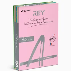 Papel Fotocópia A4 5 Cores Suaves Adagio 80gr 500Fls