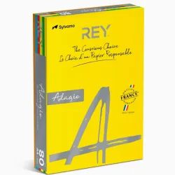 Papel Fotocópia A4 5 Cores Fortes Adagio 80gr 500Fls