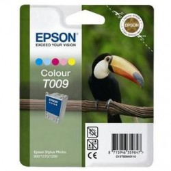 Epson T009 Cor